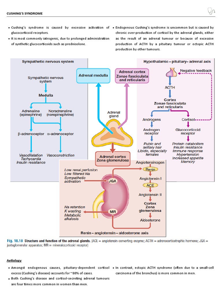 Cushing's Syndrome | PDF | Endocrinology | Glands