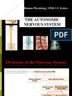 Autonomic Nervous System