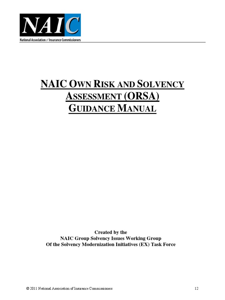 NAIC ORSA Manual PDF Risk Insurance