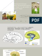 палеокортекс презентація