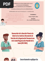 APS Selectiva y Renovada: Enfoques Clave | PDF | Cuidado de la salud ...