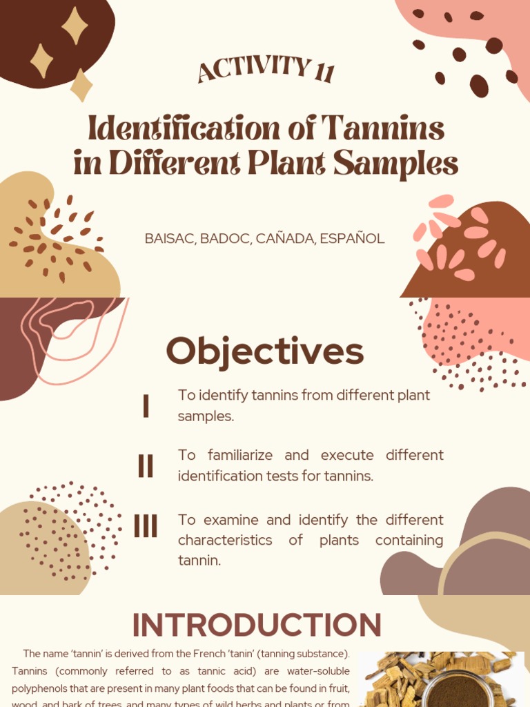 Group 2 - Pcog Post Lab Activity 11 (Midterms) | Download Free PDF | Plants