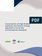 Conservation of High Andean Wetlands and Lihium Mining 1