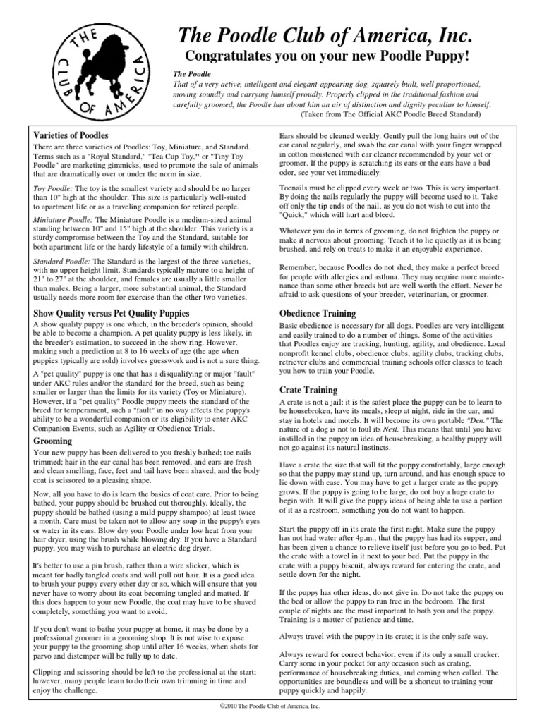 The Poodle Club of America, Inc | PDF | Poodle | Dog Training