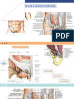 Hernias de La Pared Abdominal Subgrupo 2