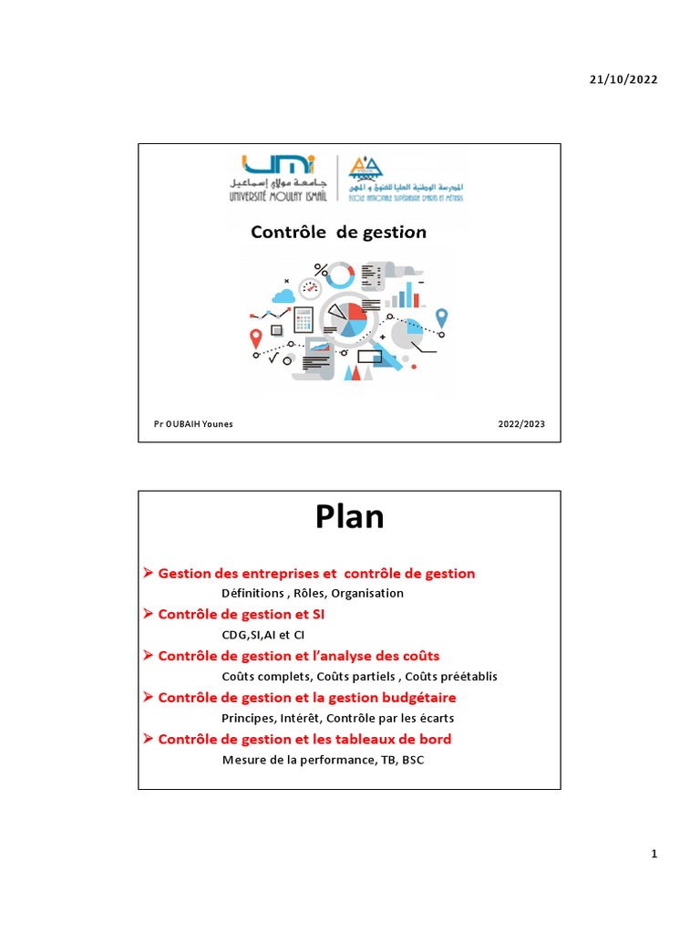 Contrôle de Gestion et Performance | PDF | Contrôle interne | Business