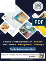 MT Module 09 Analyse de l'Industrie Touristique Marocaine (1)