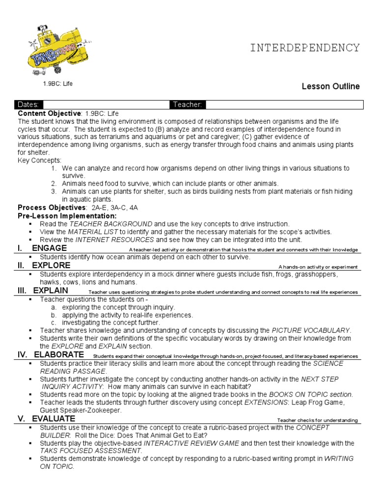 1 9BC Life Lesson Outline | PDF | Concept | Inquiry