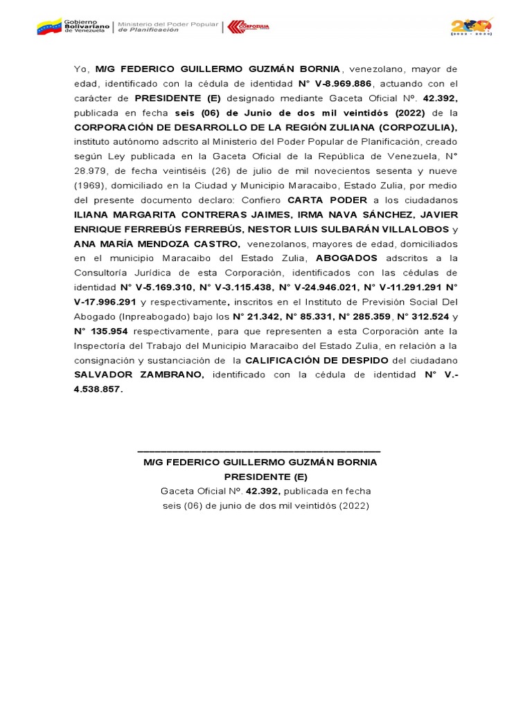 Carta Poder (Modelo) | PDF