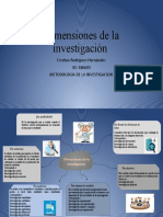 Dimensiones de La Investigacion