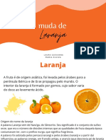 Cultivo da laranja: origem, preparo do solo e benefícios