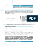 Enfermedad Renal Crónica PDF