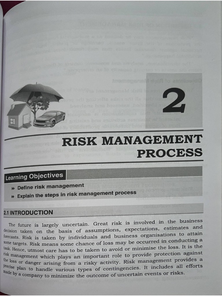 Risk Management Process | PDF
