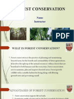 Forest Protection and Conservation