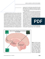 Cannabis y El Cerebro Adolescente