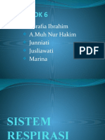 Power Poin Sistem Respirasi