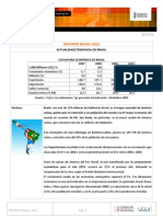 brasil_informe_pais_2010