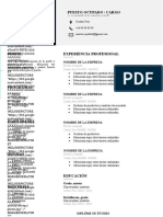 260 Curriculum Vitae Sin Foto 97 2003