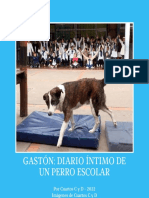 Gastón-Diario Íntimo de un Perro Escolar - Cuartos C y D Escuela N°299- Piedras Blancas- Montevideo