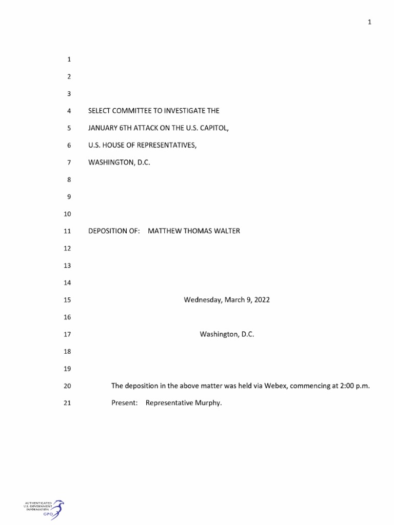 Matthew Thomas Walter Transcript | PDF | Deposition (Law) | Witness