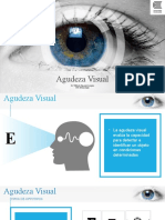 Agudeza Visual