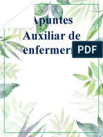 Auxiliar Enfermeria