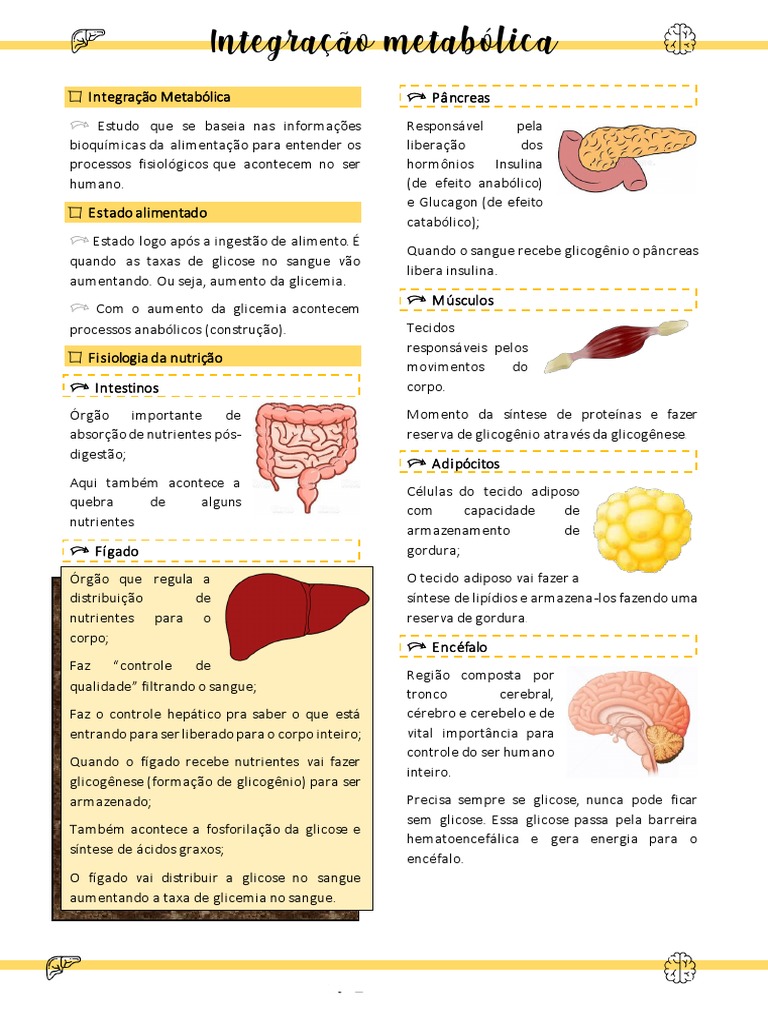 Grátis: 12 Metabolismo de glicídeos Agro - Material Claro e Objetivo em PDF  para Estudo Rápido, image size:768x1024