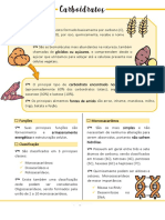 Carboidratos funções classificação alimentos