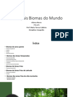 Apresentação Geografia - Afonso Neves Nº1