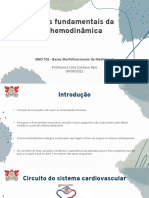 Leis fundamentais da hemodinâmica