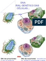 6 - Dna - Material Genetico