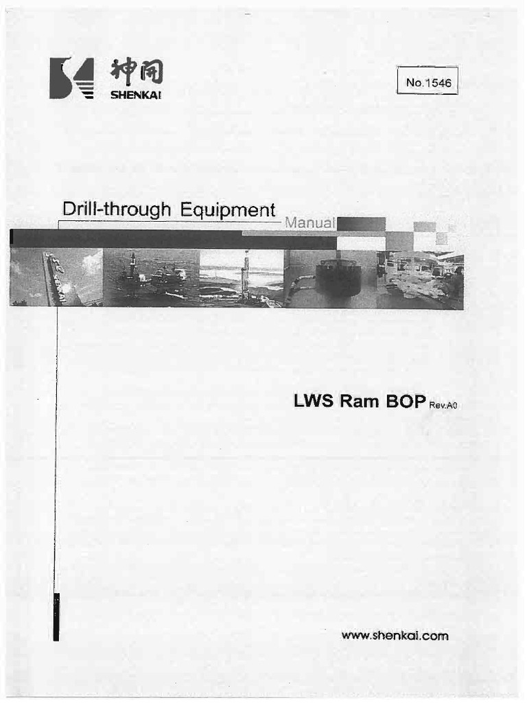 DBL PDF | PDF