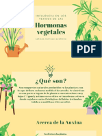 Hormonas vegetales: Auxina, giberelinas, citocininas y etileno