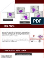 Mini+Atlas Espanhol PDF