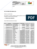 Informe Preliminar