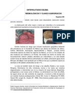 Enterolitiasis equina: aspectos epidemiológicos y clínico-quirúrgicos
