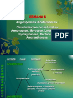 SEMANA 6. Annonacea, Moraceae, Loranthaceae, Nyctaginaceae, Cactaceae y Amaranthaceae