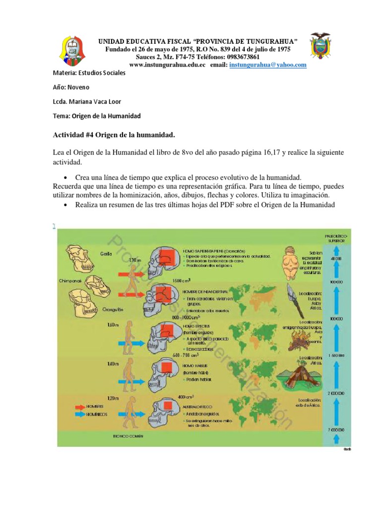 Actividad #4 Origen de La Humanidad | PDF | Homo | neanderthal