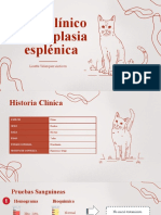 Caso Clínico de Neoplasia Hepática