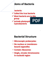 Kingdoms of Bacteria: Eubacteria