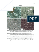 12 Chapter 6 An Overview of Dolomite and Dolomitization Plates