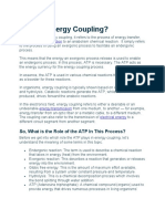 What Is Energy Coupling