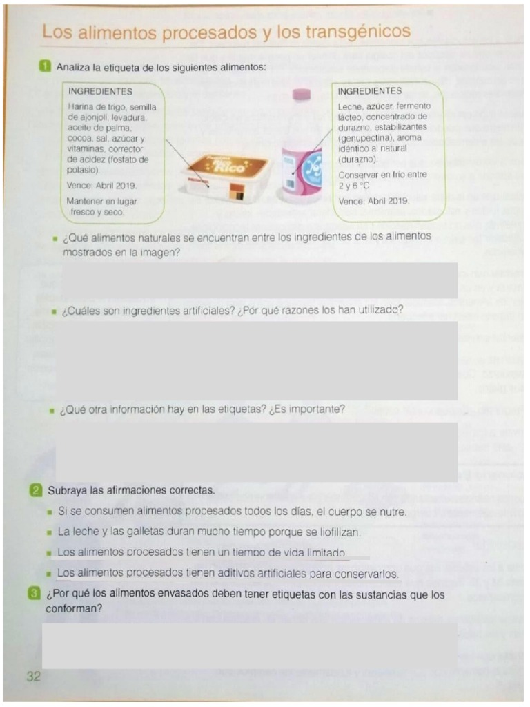 Alimentos Procesados Actividad | PDF