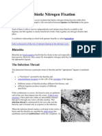 Symbiotic Nitrogen Fixation