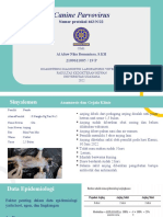 Fix Ujian PPT Kodil Canine Parvovirus Remon