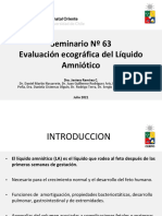 Seminario 63 Evaluacion de Liquido Amniotico Archivo 1
