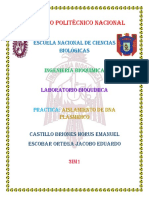 Practica DNA Plasmidico. CBHE y EOJE. 3IV1