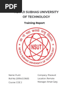 Punit Training Report 2