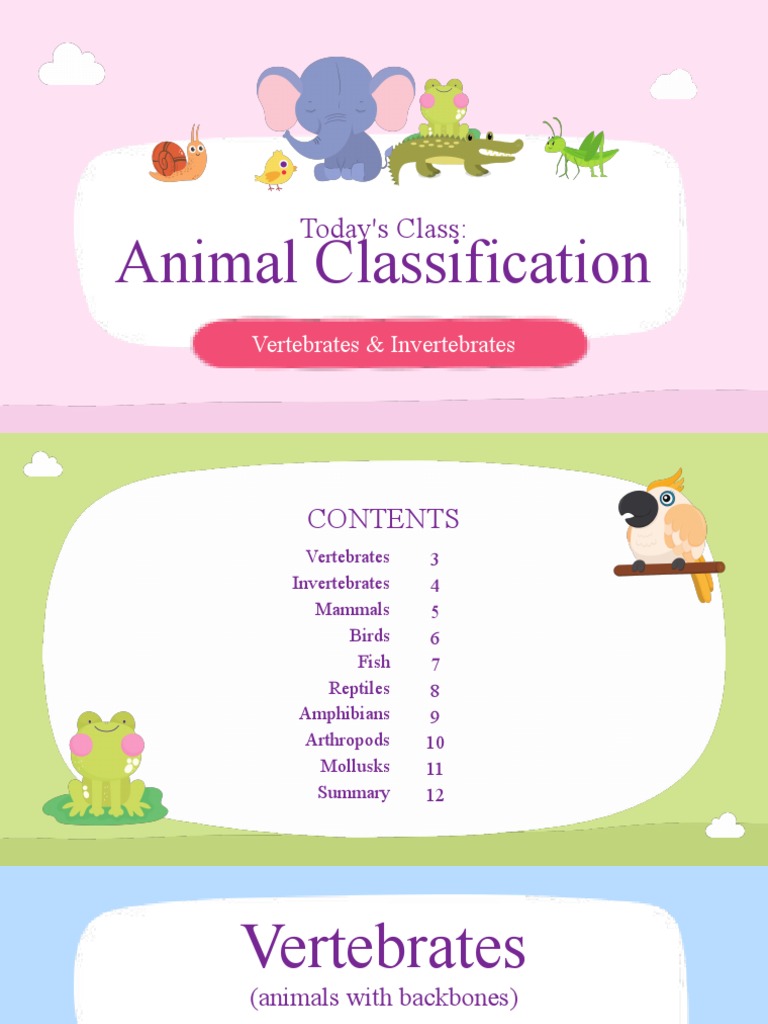 Vertebrate and Invertebrate Overview | PDF | Vertebrates | Invertebrate