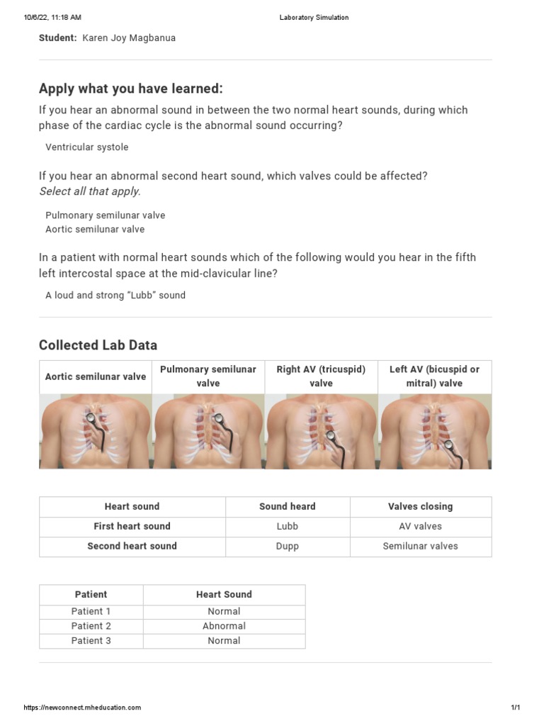 Activity 26 - Heart Auscultation | PDF | Wellness
